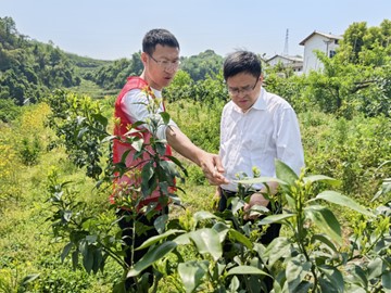 圖片2.jpg